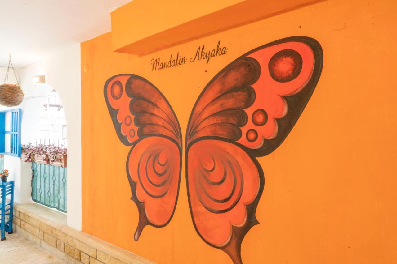 Mandalin Akyaka Hotel Akyaka  Ngoại thất bức ảnh